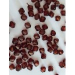 Bicone 6mm